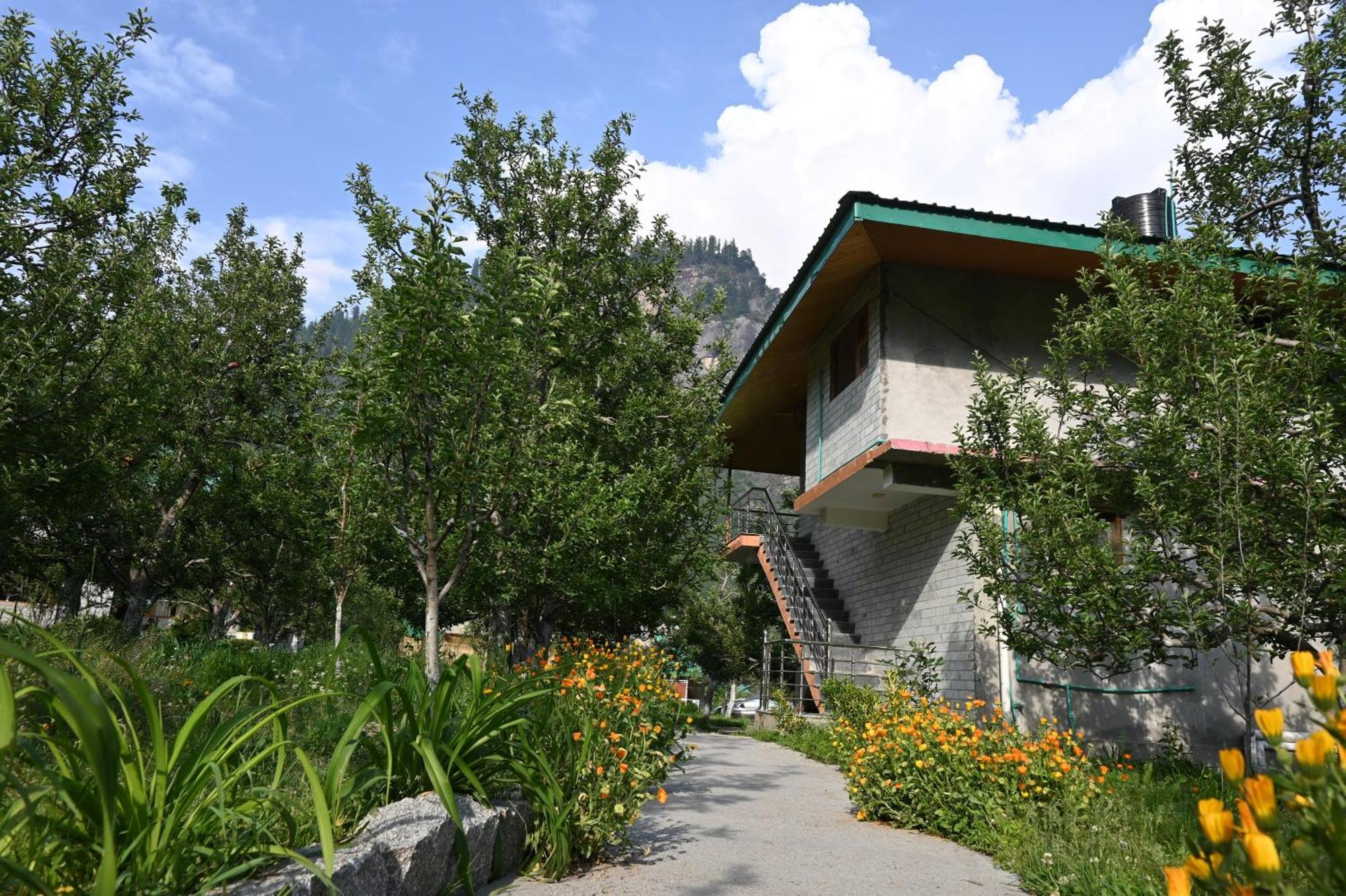 Bed and Breakfast Cascade Mountain Retreat Manali Екстер'єр фото
