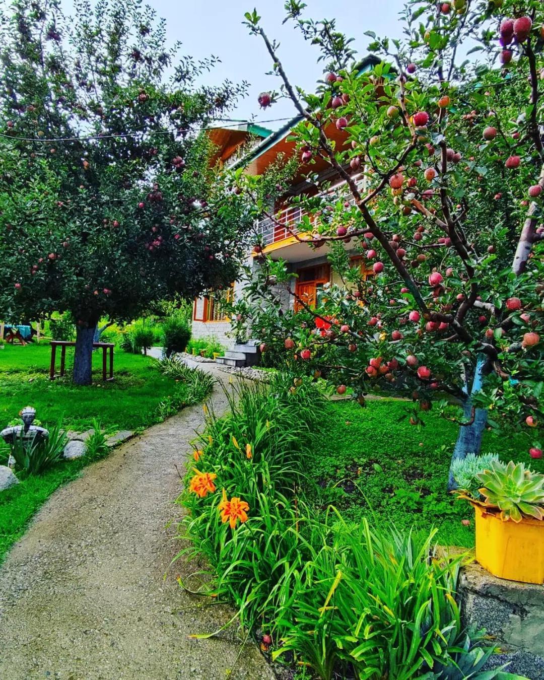 Bed and Breakfast Cascade Mountain Retreat Manali Екстер'єр фото